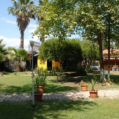 Lodge Camping