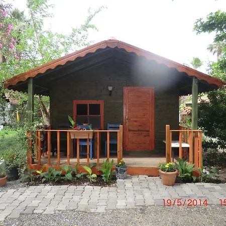 Lodge Camping *