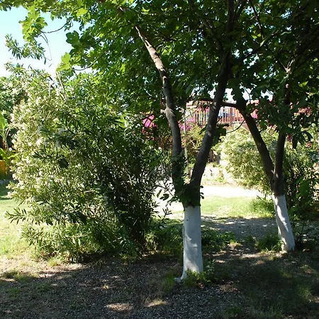 Cabană Camping *