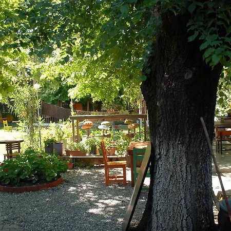 Cabană Camping *