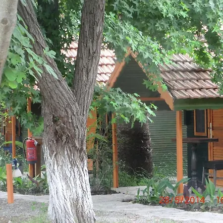 Camping Cabană *